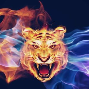 Meet your Posher, Bill